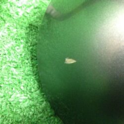 NISSAN NOTE E11 Mirror Right