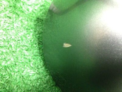 NISSAN NOTE E11 Mirror Right