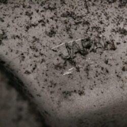 CHEVROLET CORVETTE C4 FACTORY 17x8.5j / 17x9.5j +56 5x120.65 CB