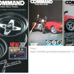 HAYASHI RACING COMMAND 6509-1