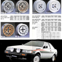 BRIDGESTONE Potenza R.A.P. 038