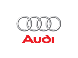 AUDI ECU