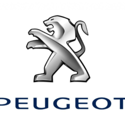 PEUGEOT Starter