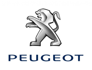 PEUGEOT Starter