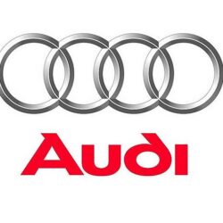 AUDI Starter
