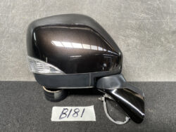 NISSAN ELGRAND E52 Door Mirror / 026620 / 8318 / Right Side x1