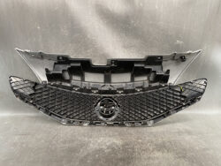 Front car grille with a honeycomb mesh and a circular badge mount in the center, black with a silver upper edge fixture.